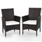 2 Piece Rattan Dining Chairs with Seat Cushions Steel Frame Patio Balcony